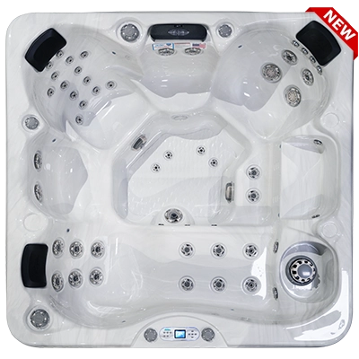 Costa EC-749L hot tubs for sale in Redford