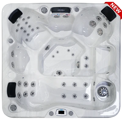 Costa-X EC-749LX hot tubs for sale in Redford