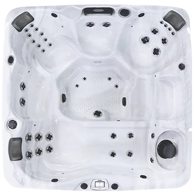 Avalon-X EC-840LX hot tubs for sale in Redford