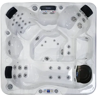 Avalon EC-849L hot tubs for sale in Redford