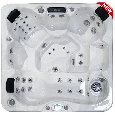 Avalon-X EC-849LX hot tubs for sale in Redford