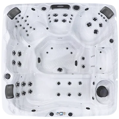 Avalon EC-867L hot tubs for sale in Redford