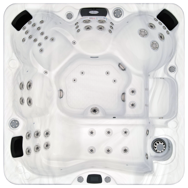 Avalon-X EC-867LX hot tubs for sale in Redford